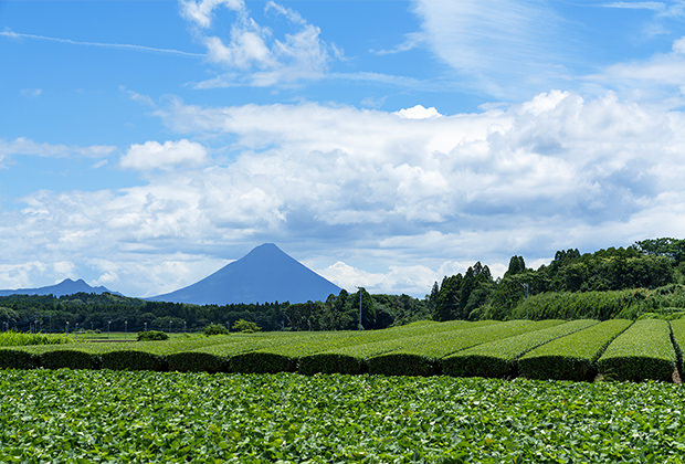 イメージ画像